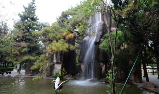 哈尔滨鸟语林动物园