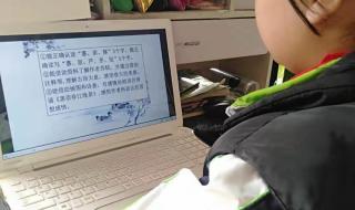 给小学老师的一封信