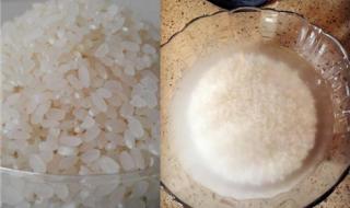 肠粉的米浆是怎么调的