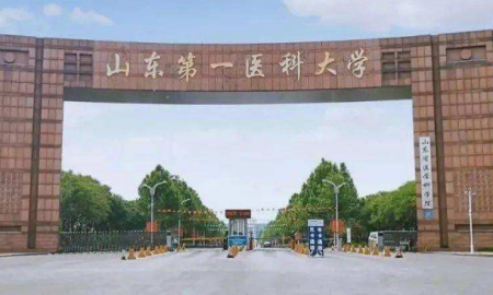 山东省医学科学院 山东第一医科大学几本